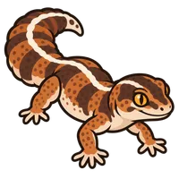 Illustration of a African Fat-Tailed Gecko