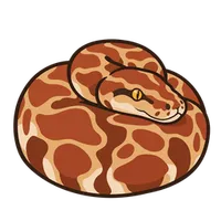 Illustration of a Blood Python