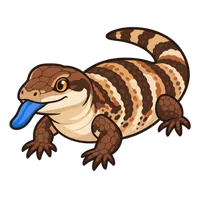 Illustration of a Blue Tongue Skink