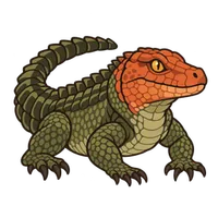 Illustration of a Caiman Lizard
