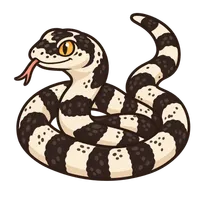 Illustration of a California Kingsnake