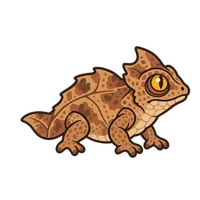 Illustration of a Chahoua Gecko