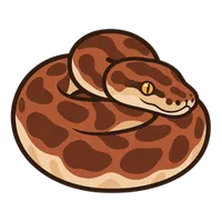 Illustration of a Children's Python