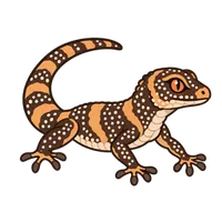 Illustration of a Chinese Cave Gecko