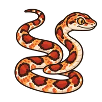 Illustration of a Corn Snake