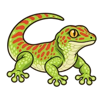 Illustration of a Giant Day Gecko