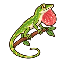 Illustration of a Green Anole