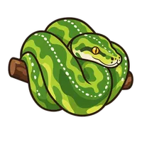 Illustration of a Green Tree Python