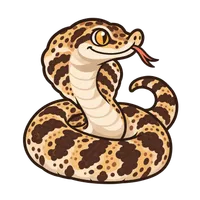 Illustration of a Western Hognose
