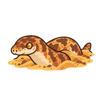 Illustration of a Kenyan Sand Boa