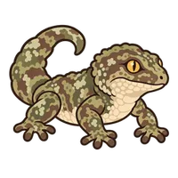 Illustration of a Leachianus Gecko