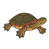 Illustration of a Painted Turtle