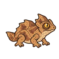 Illustration of a Pygmy Chameleon