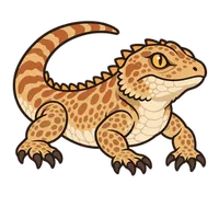 Illustration of a Rankin's Dragon