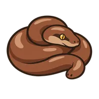 Illustration of a Rubber Boa