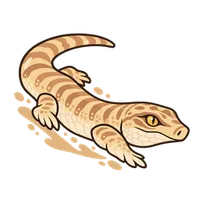Illustration of a Sandfish Skink