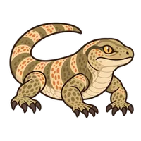 Illustration of a Schneider's Skink