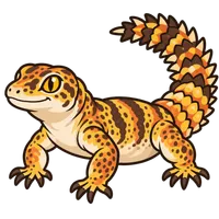 Illustration of a Uromastyx