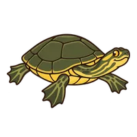 Illustration of a Yellow-Bellied Slider